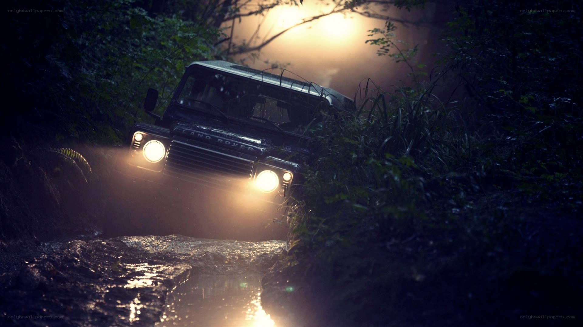 Land Rover in forest at night