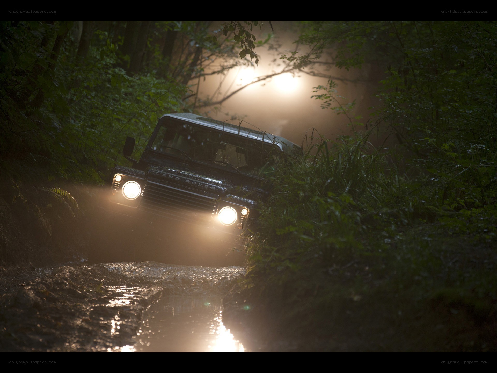Land Rover in forest stream