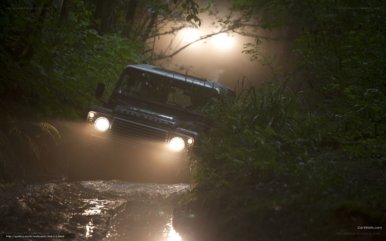 Land Rover in forest stream