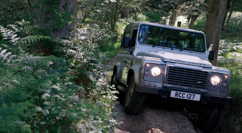 Land Rover in forest trail