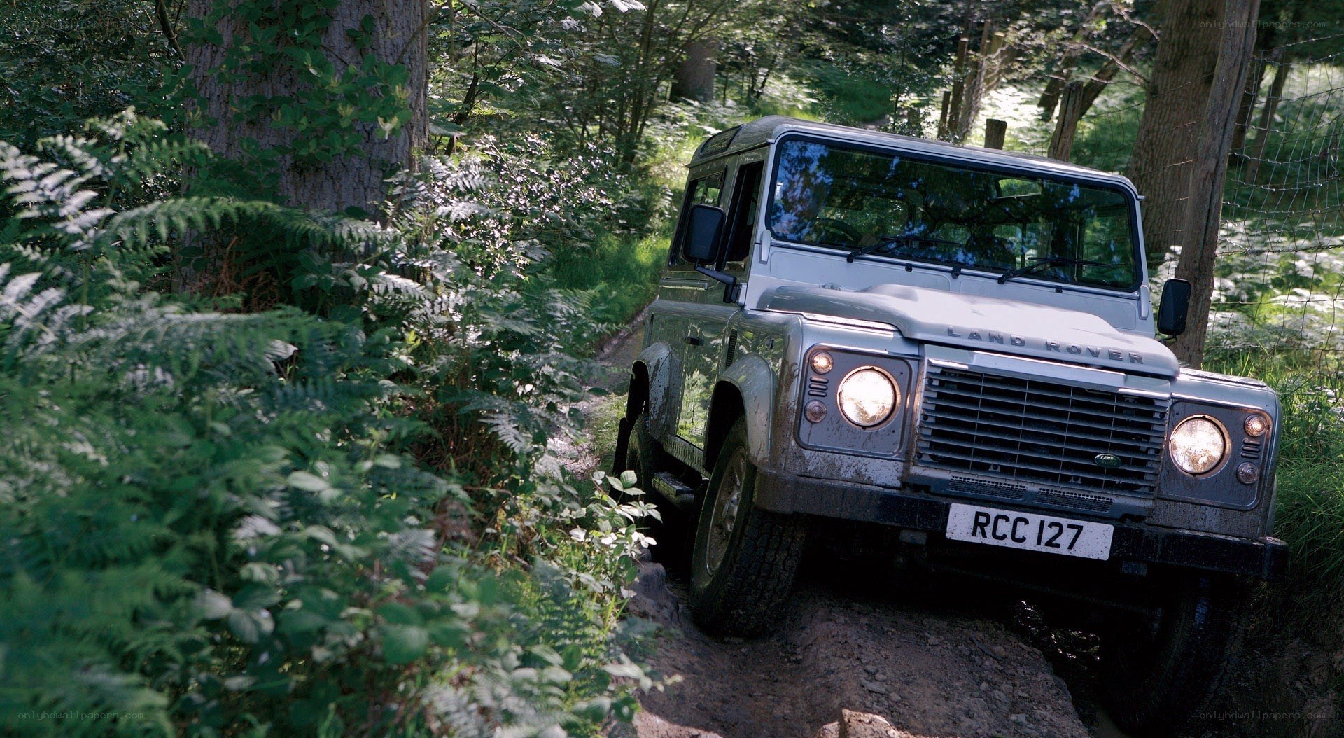 Land Rover in forest trail