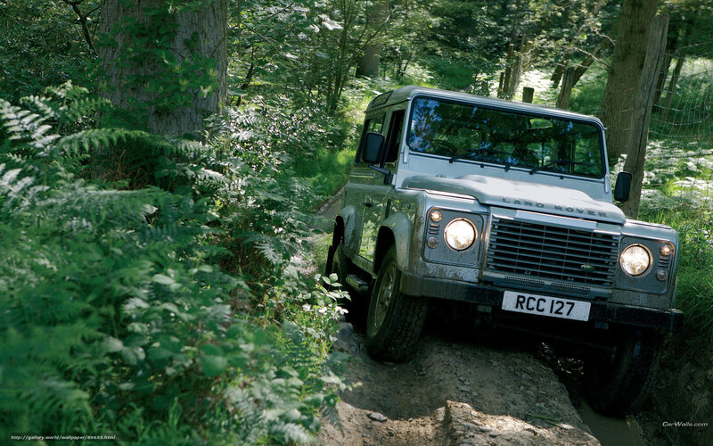 Land Rover on forest trail