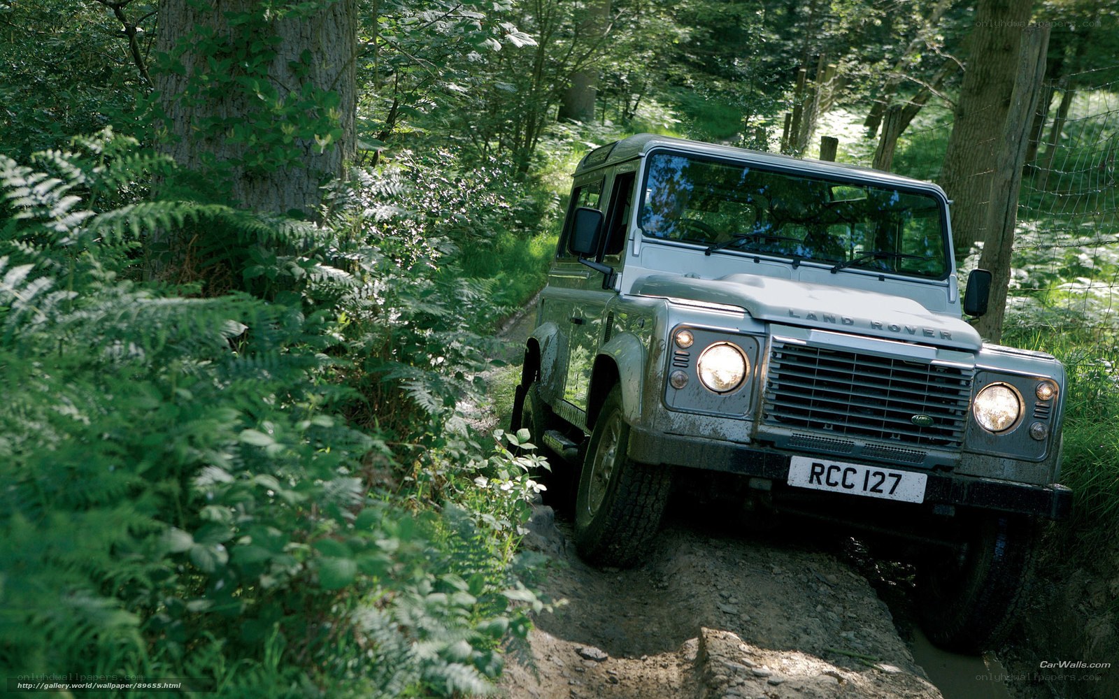 Land Rover on forest trail