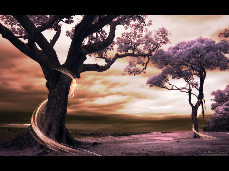 Lands of eternal harmony