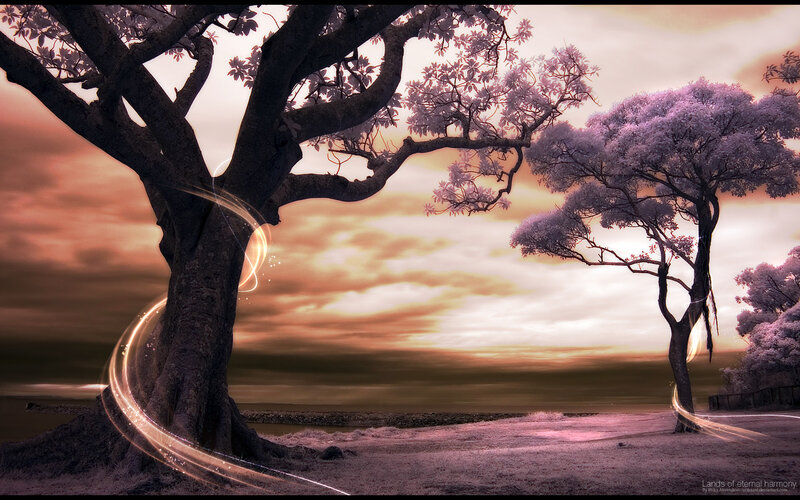 Lands of eternal harmony