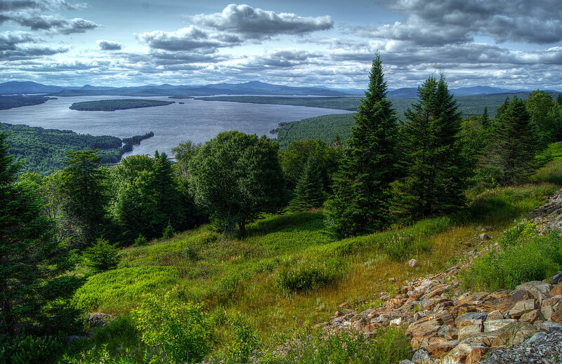 Landscape view of a lake and forest
