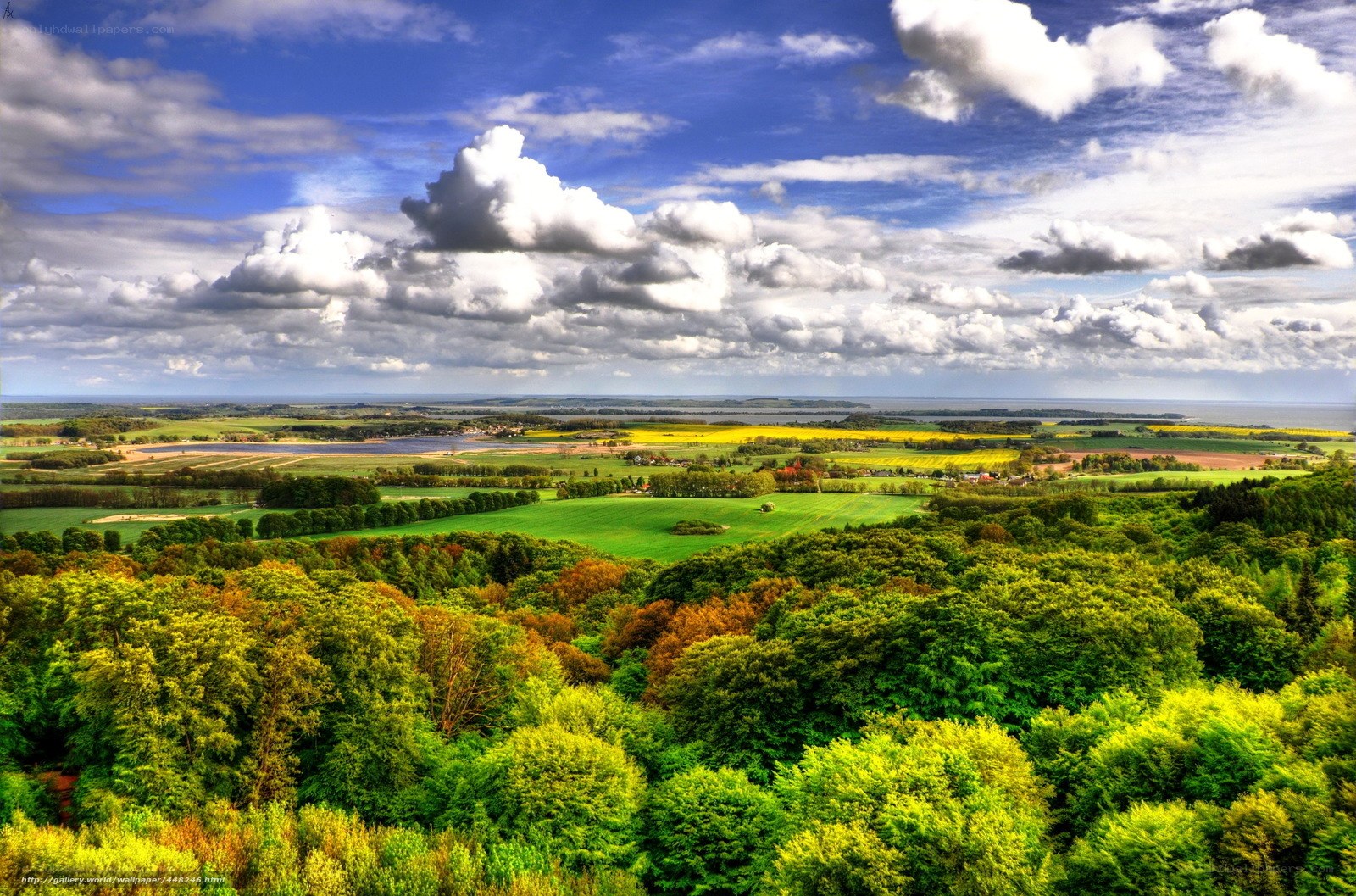 Landscape with forests and fields