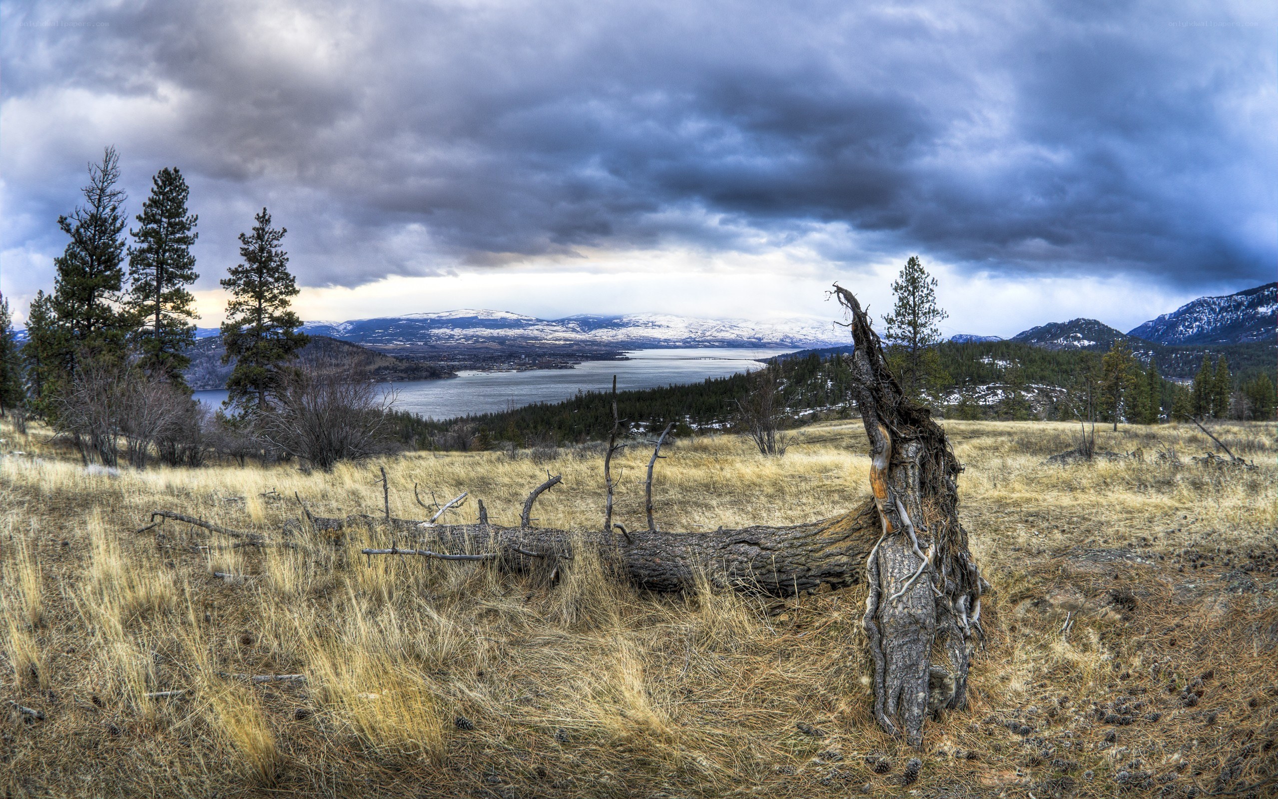 Landscape with lake and mountains