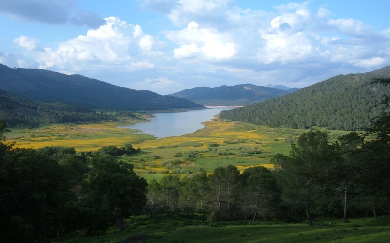 Landscape with lake and mountains
