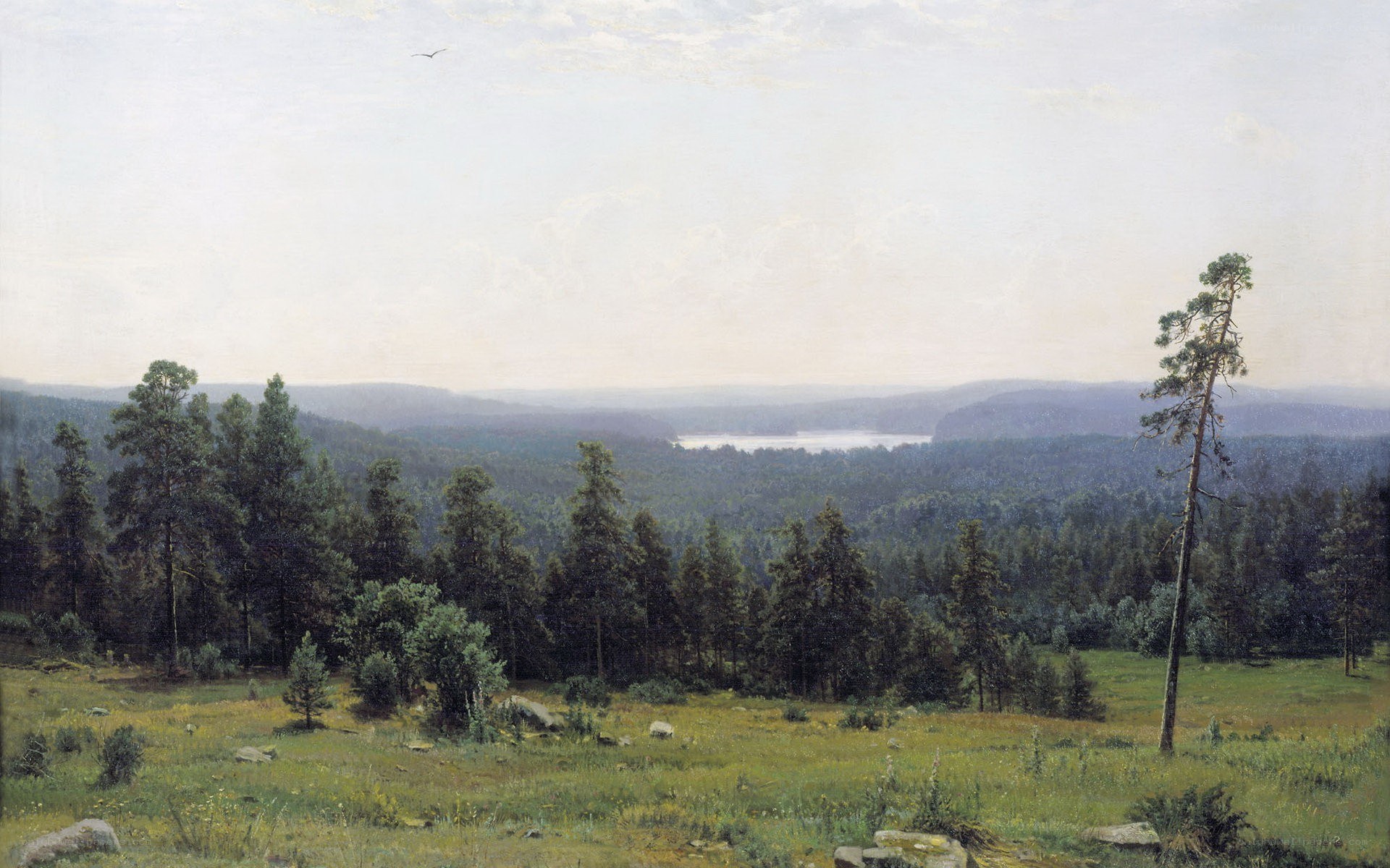 Landscape with Pine Trees