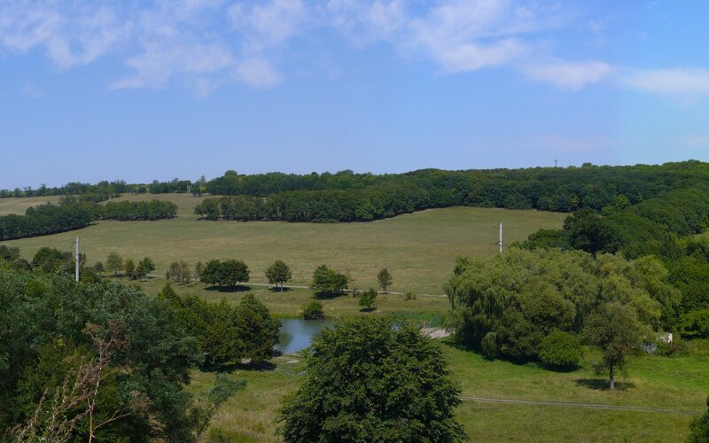Landscape with pond and forest