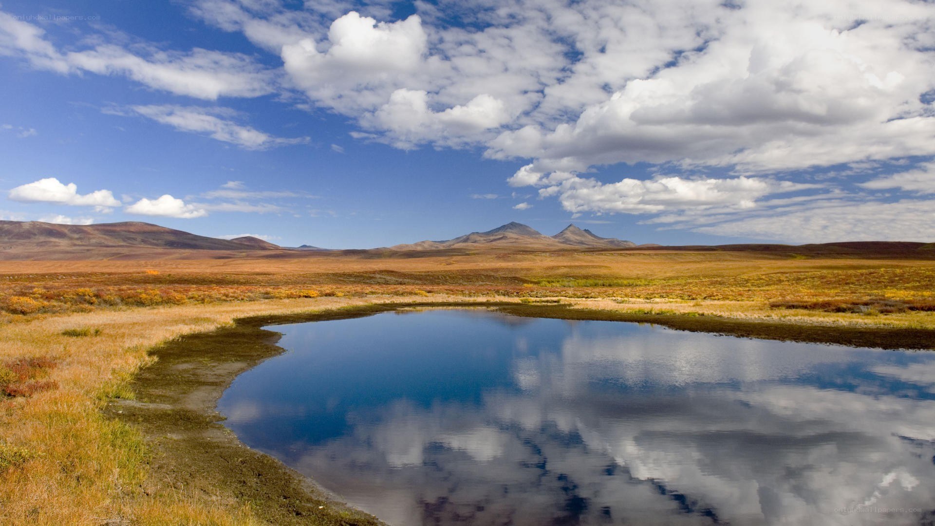 Landscape with pond and mountains