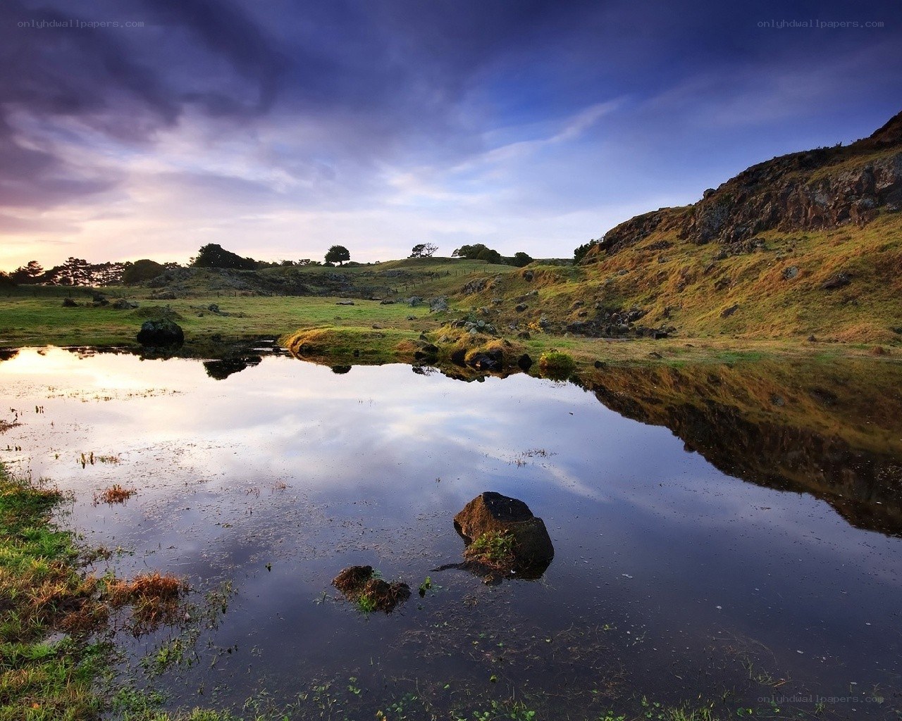 Landscape with pond at dusk