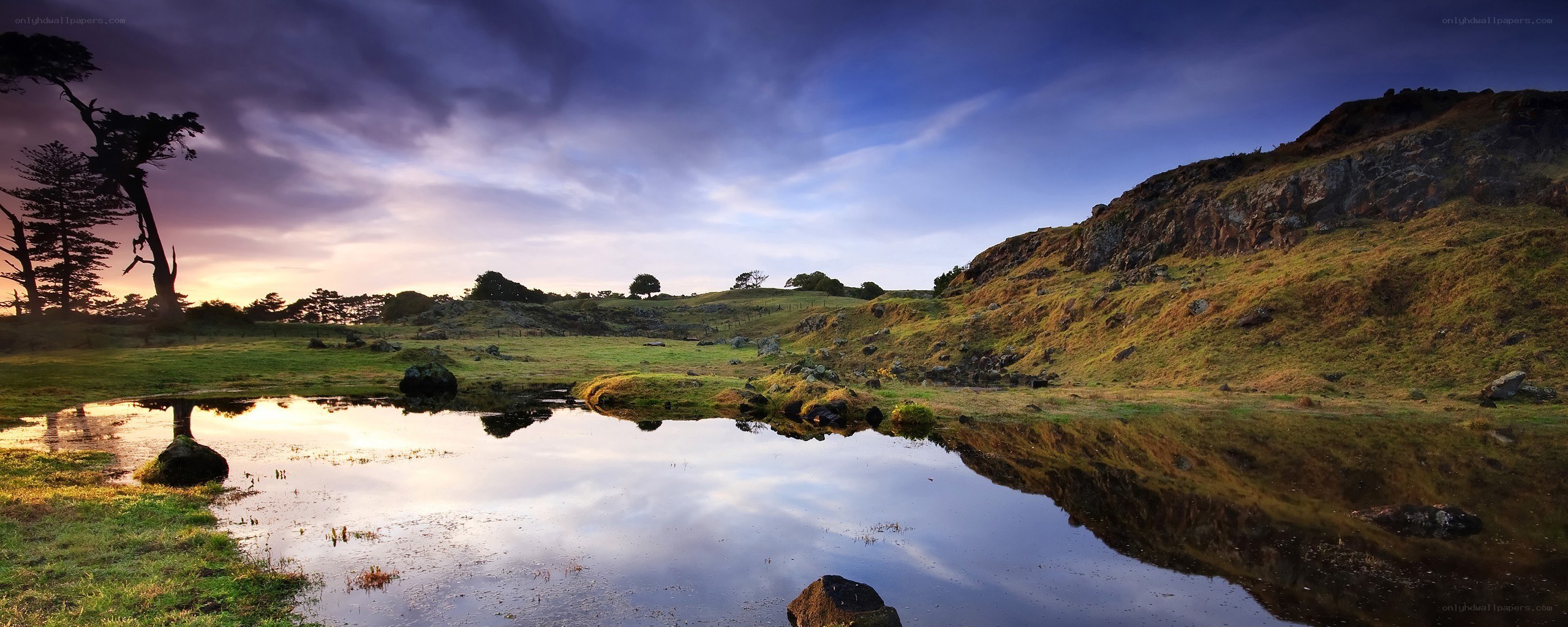 Landscape with pond at dusk