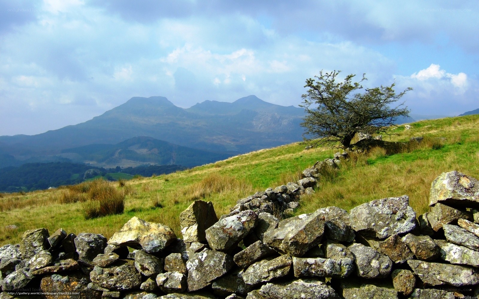 Landscape with stone wall and mountains