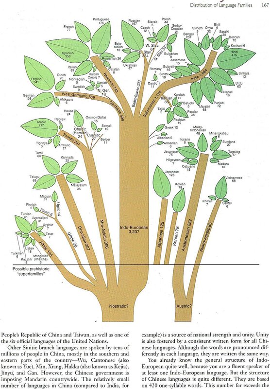 Language family distribution chart