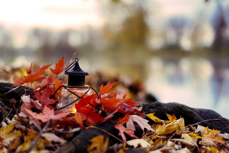 Lantern Among Autumn Leaves