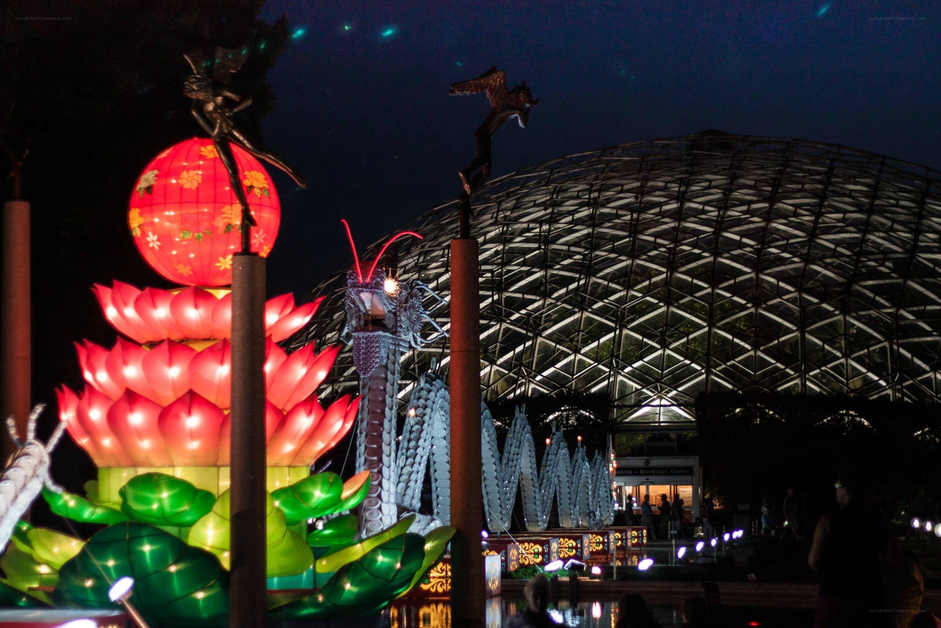 Lantern festival at night