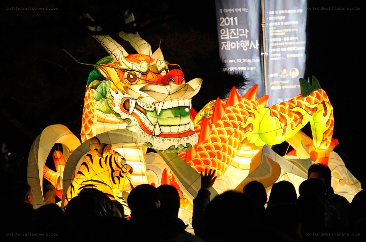 Lantern festival dragon display