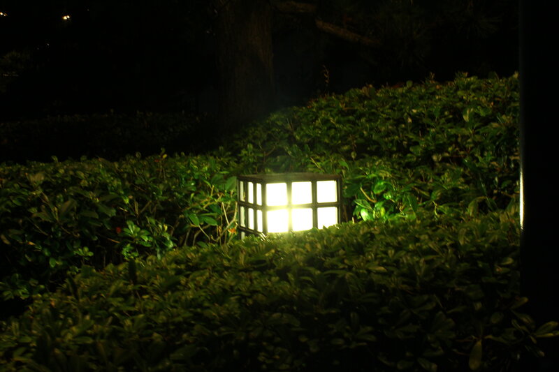 Lantern in a garden at night