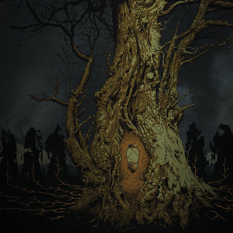Lantern in a gnarled tree