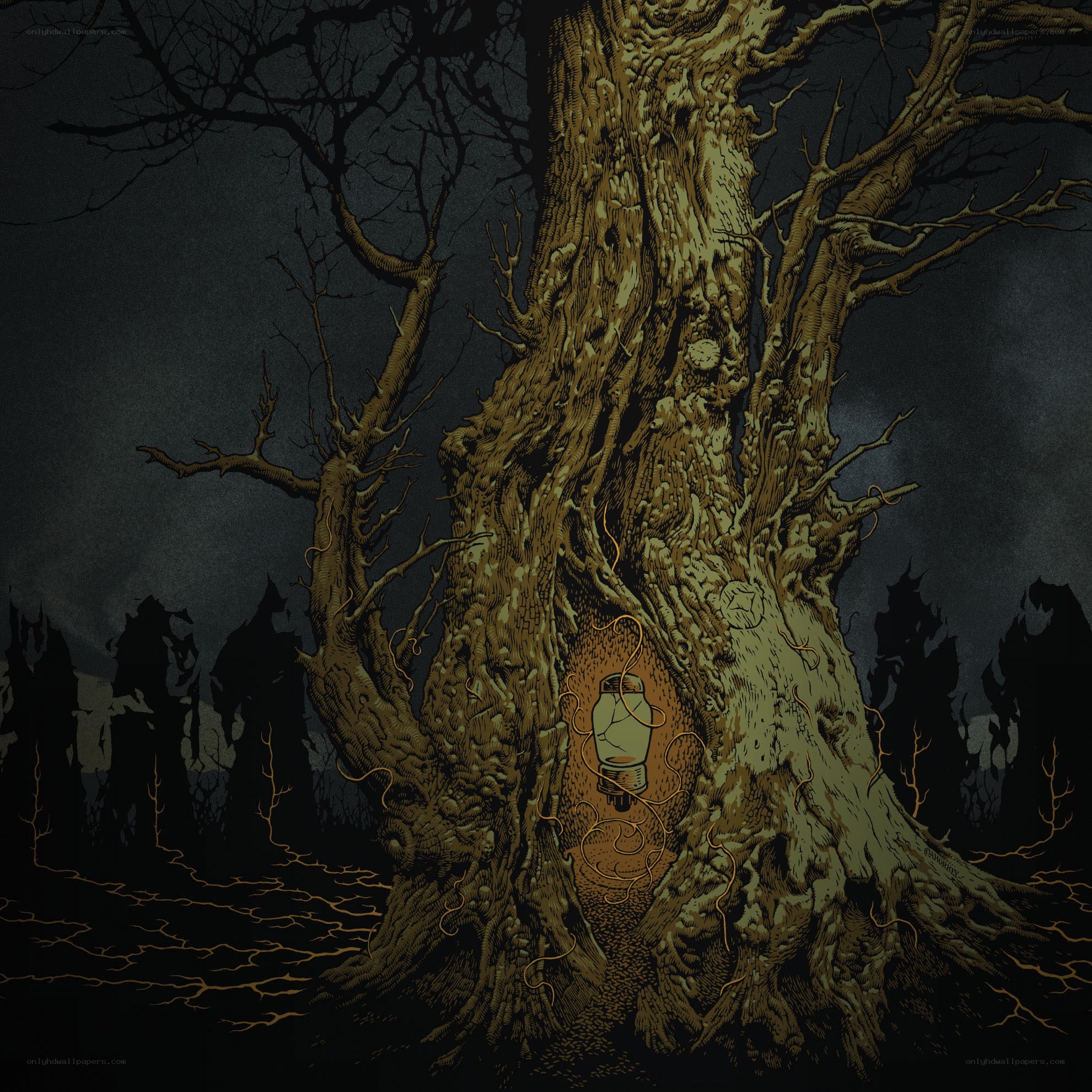 Lantern in a gnarled tree