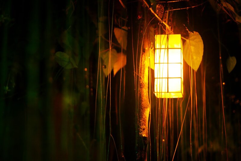 Lantern in Forest — Yellow