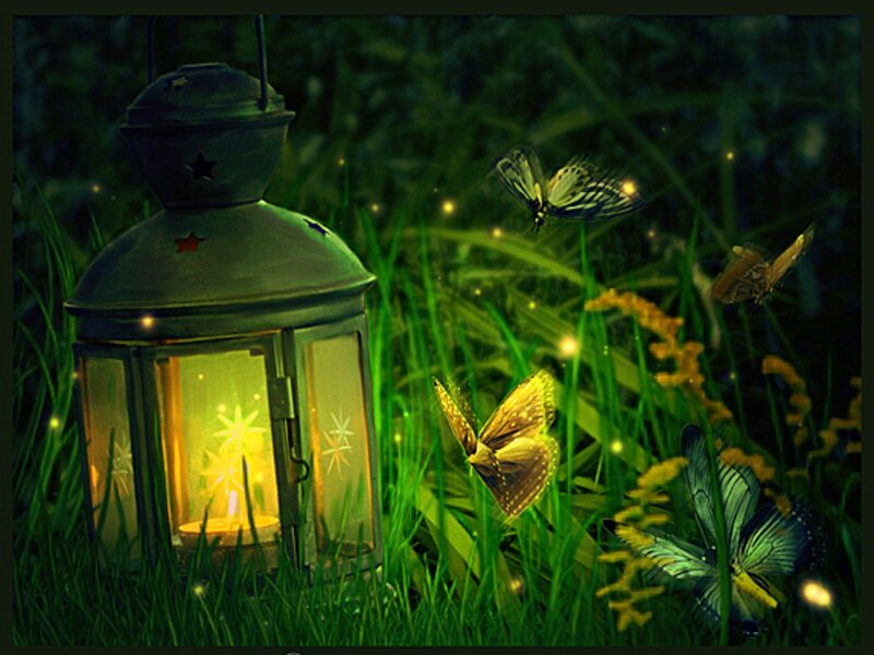 Lantern in Grass