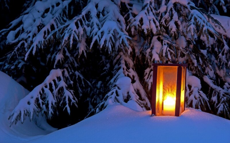 Lantern in Snow — Blue, Serene, Night, Photograph, Trees, Candle