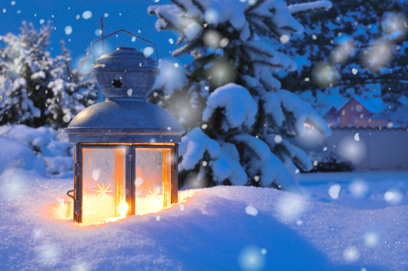 Lantern in Snow — Blue, Serene, Night, Photograph, Trees