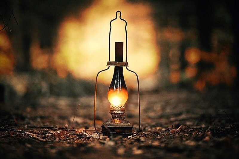 Lantern in the forest