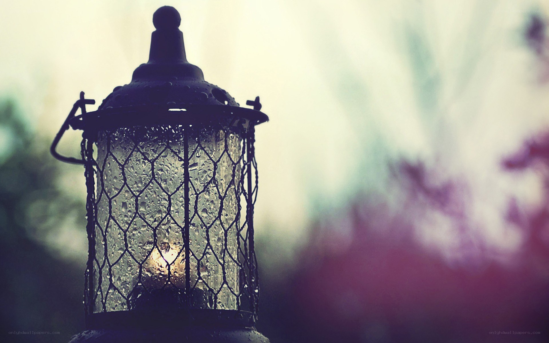 Lantern in the rain