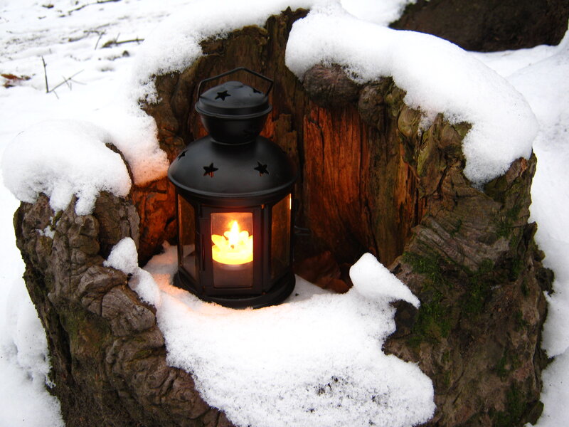 Lantern in Tree Stump
