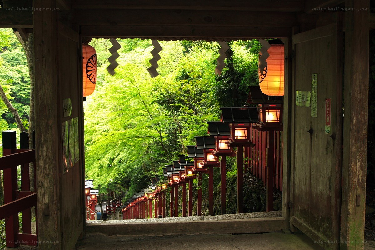 Lantern-lined path at a Japanese shrine