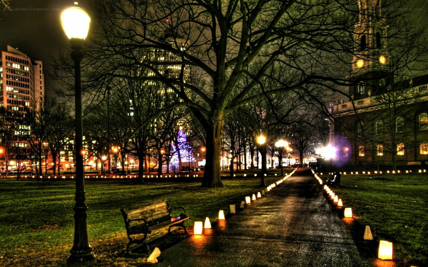Lantern-lit path in city park