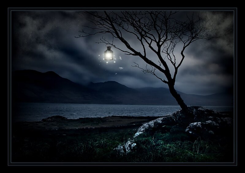 Lantern on Bare Tree