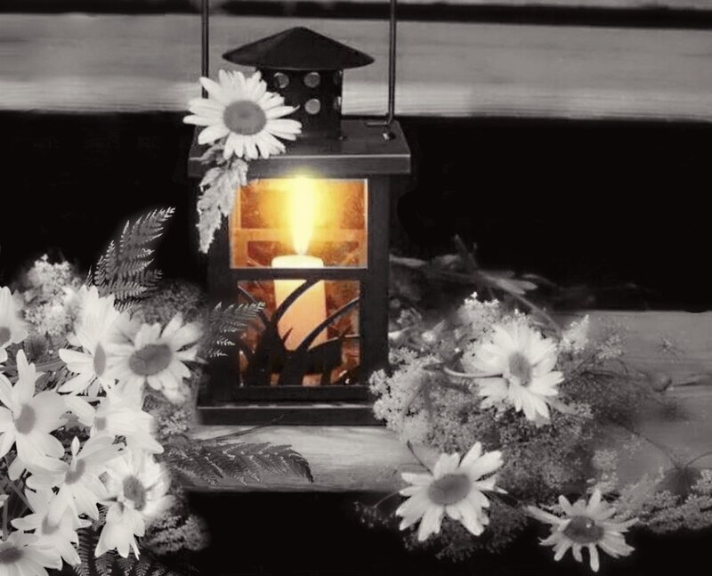 Lantern with Daisies