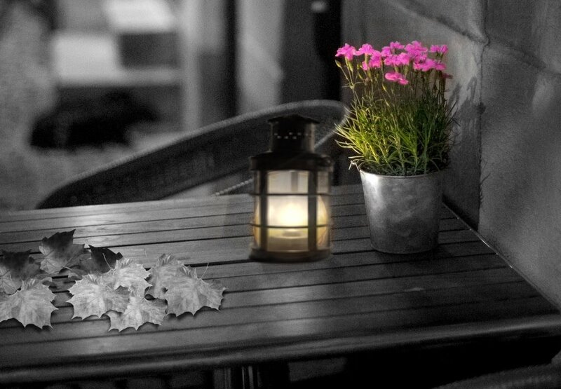 Lantern with Flowers — Black, Serene