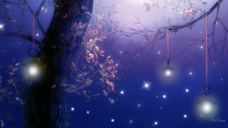 Lanterns Hanging from Tree