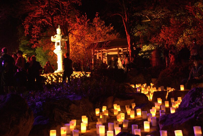 Lanterns in Garden