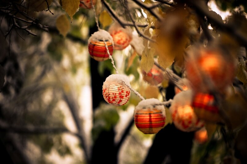 Lanterns in snowy trees