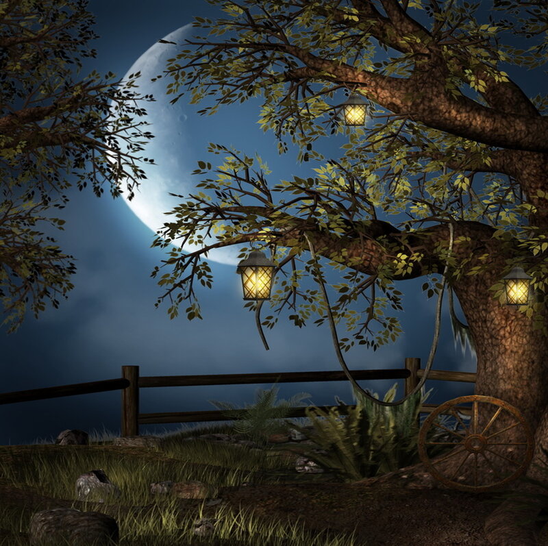 Lanterns on Tree Branches