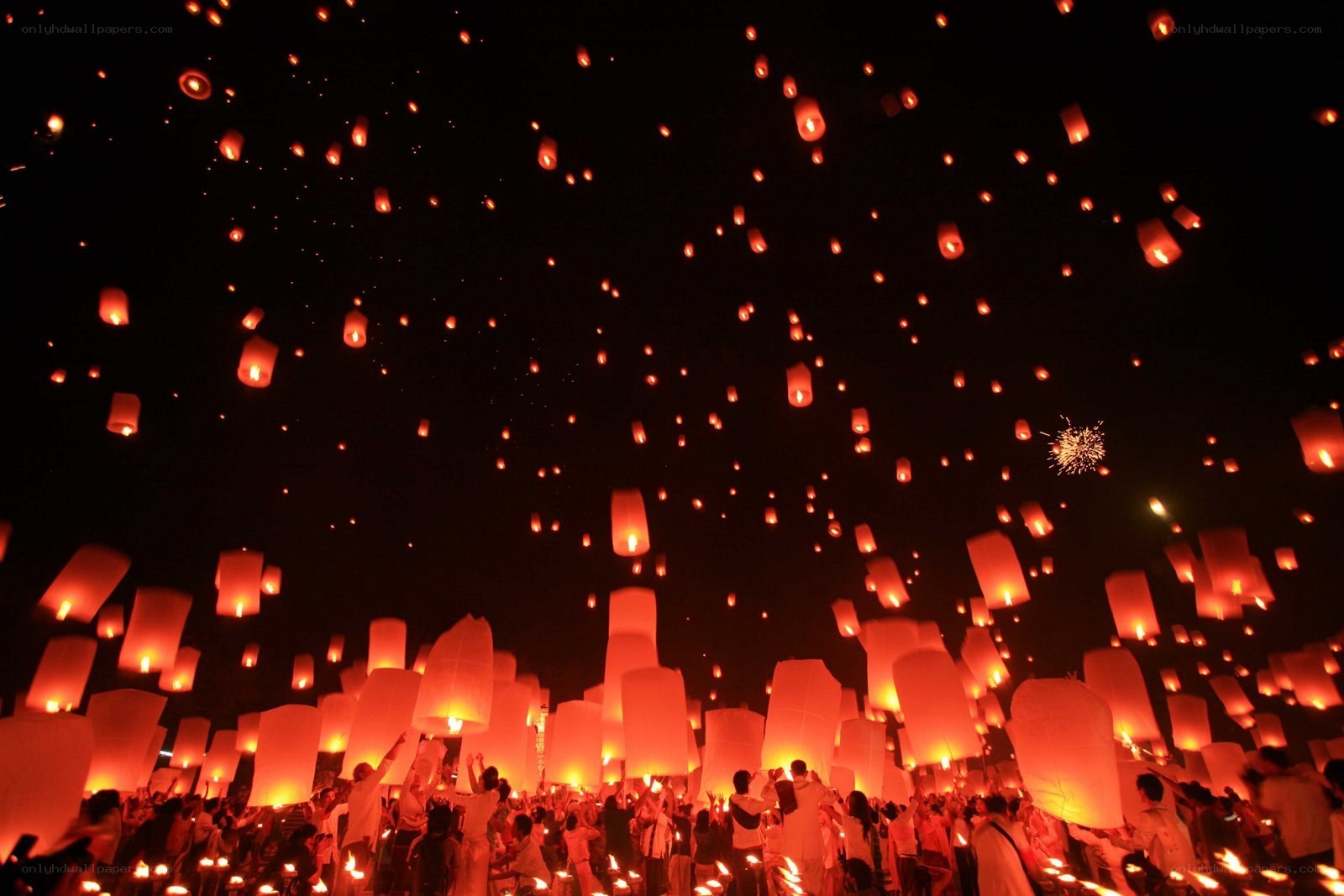 Lanterns released at night festival