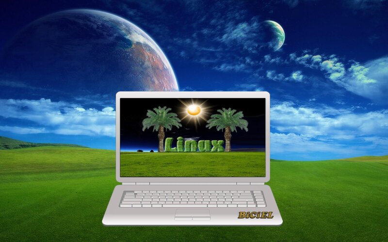 Laptop on Grass Field