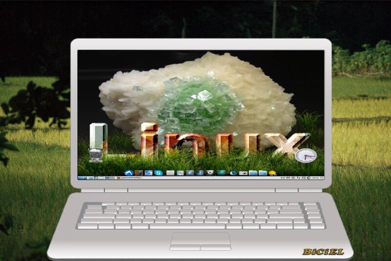 Laptop on Grass — Green