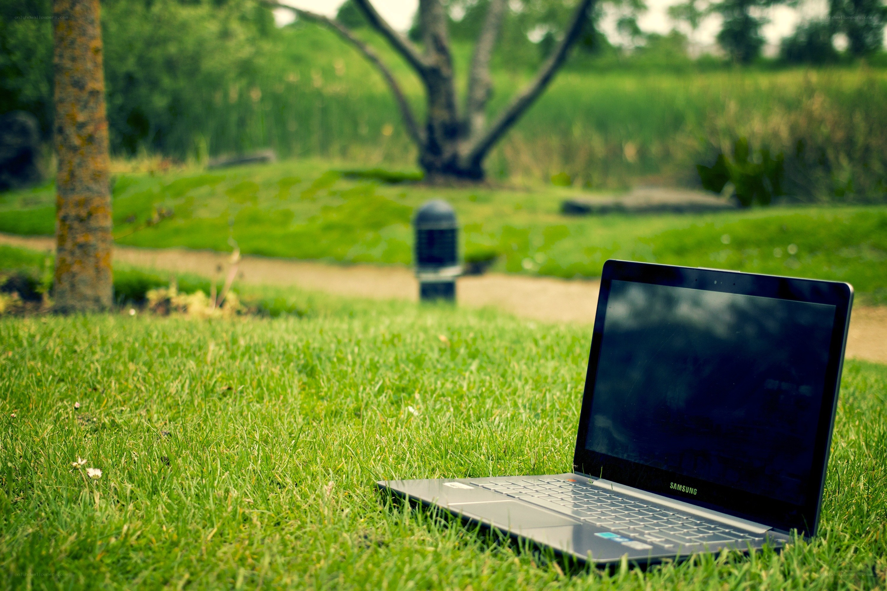laptop on grass in park
