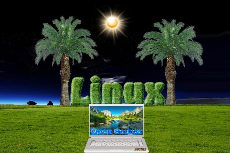 Laptop on Grass