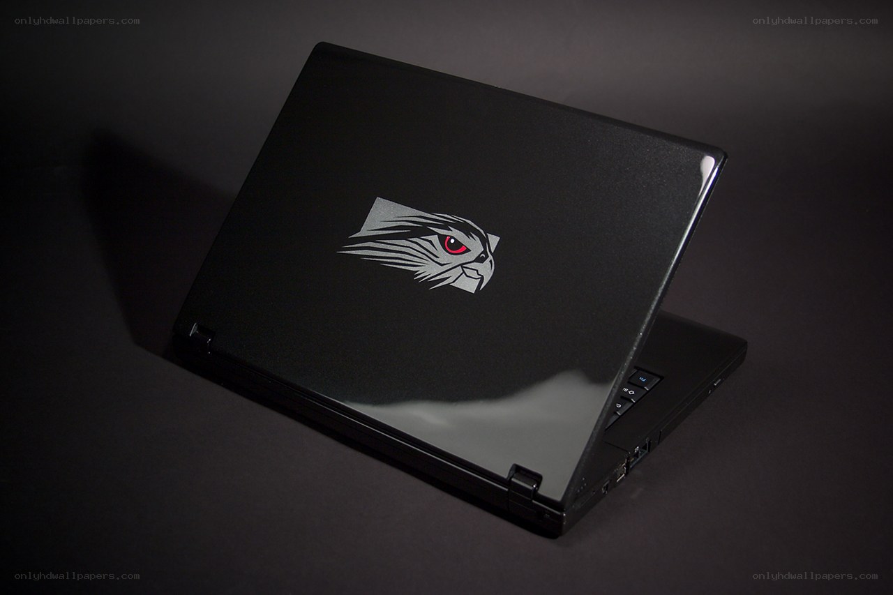 laptop with bird logo