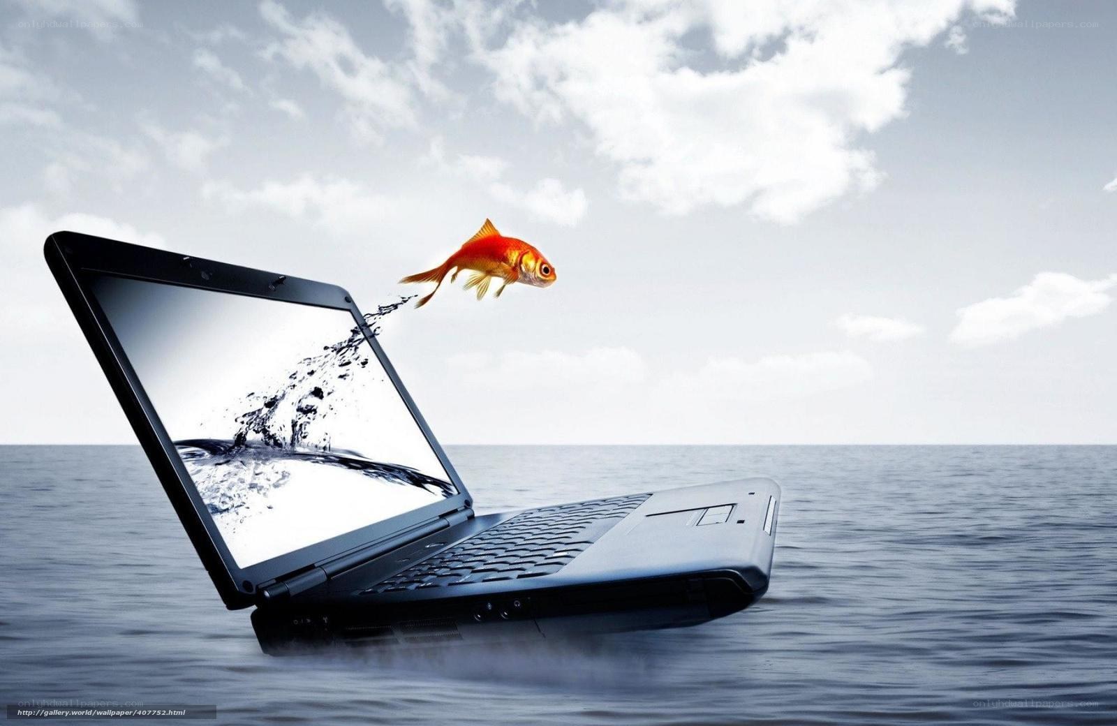 laptop with goldfish jumping out