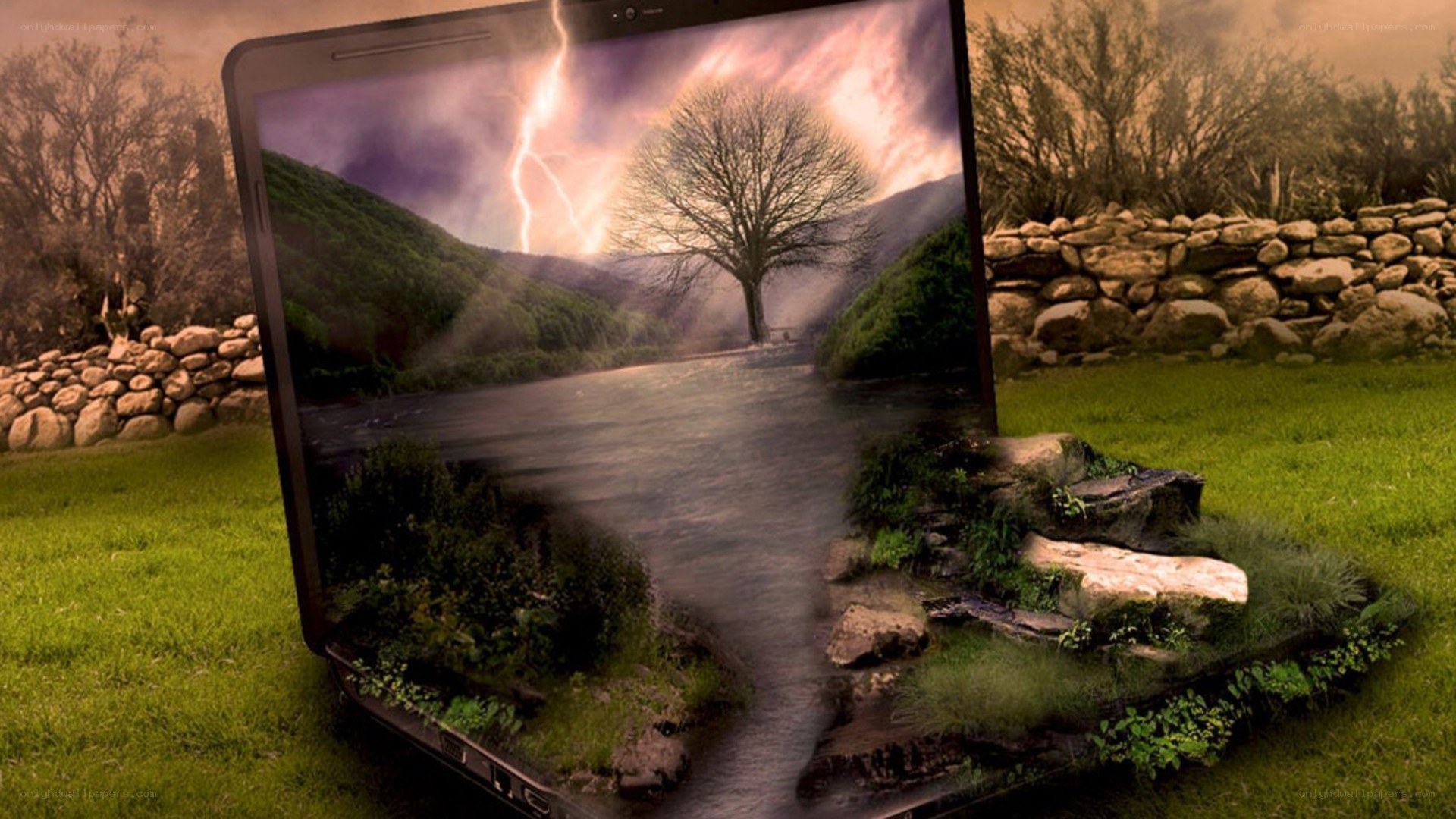 laptop with nature scene